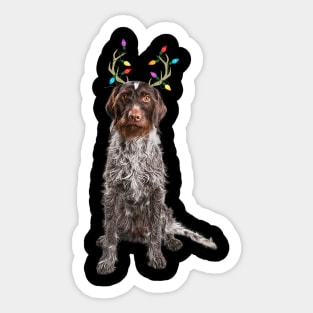 German Wirehaired Pointer Christmas Dog Sticker